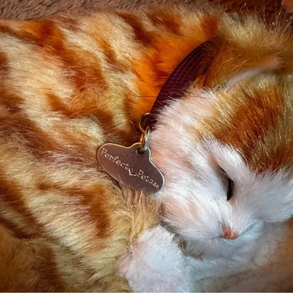 Perfect Petzzz Gray Tabby Cat W/Bed Battery and Adoption Papers - Picture 8 of 11